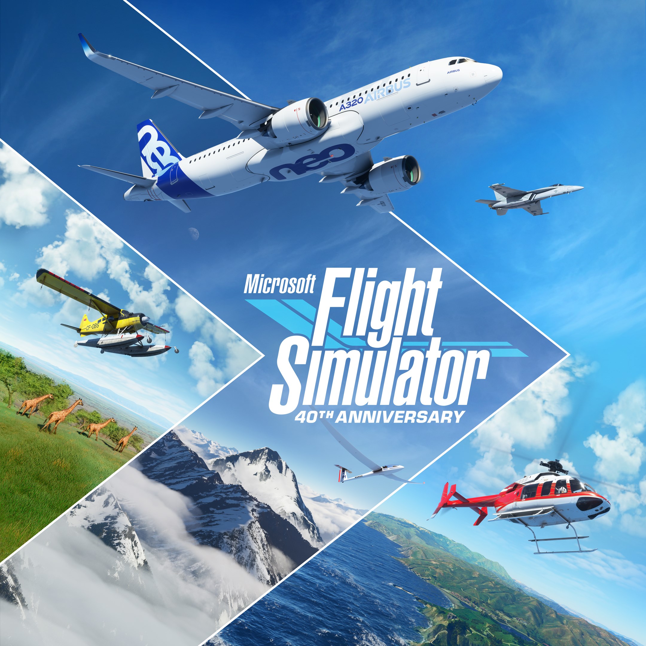 Microsoft Flight Simulator