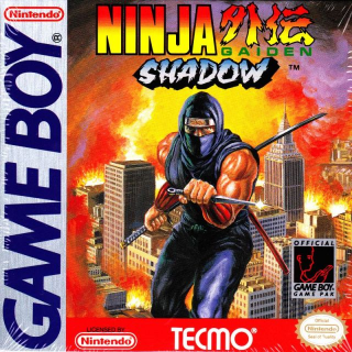 Ninja Gaiden Shadow