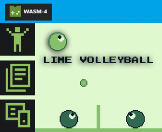 Lime Volleyball