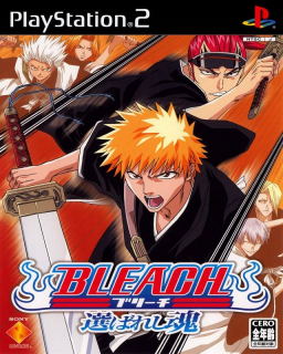 Bleach: Erabareshi Tamashii