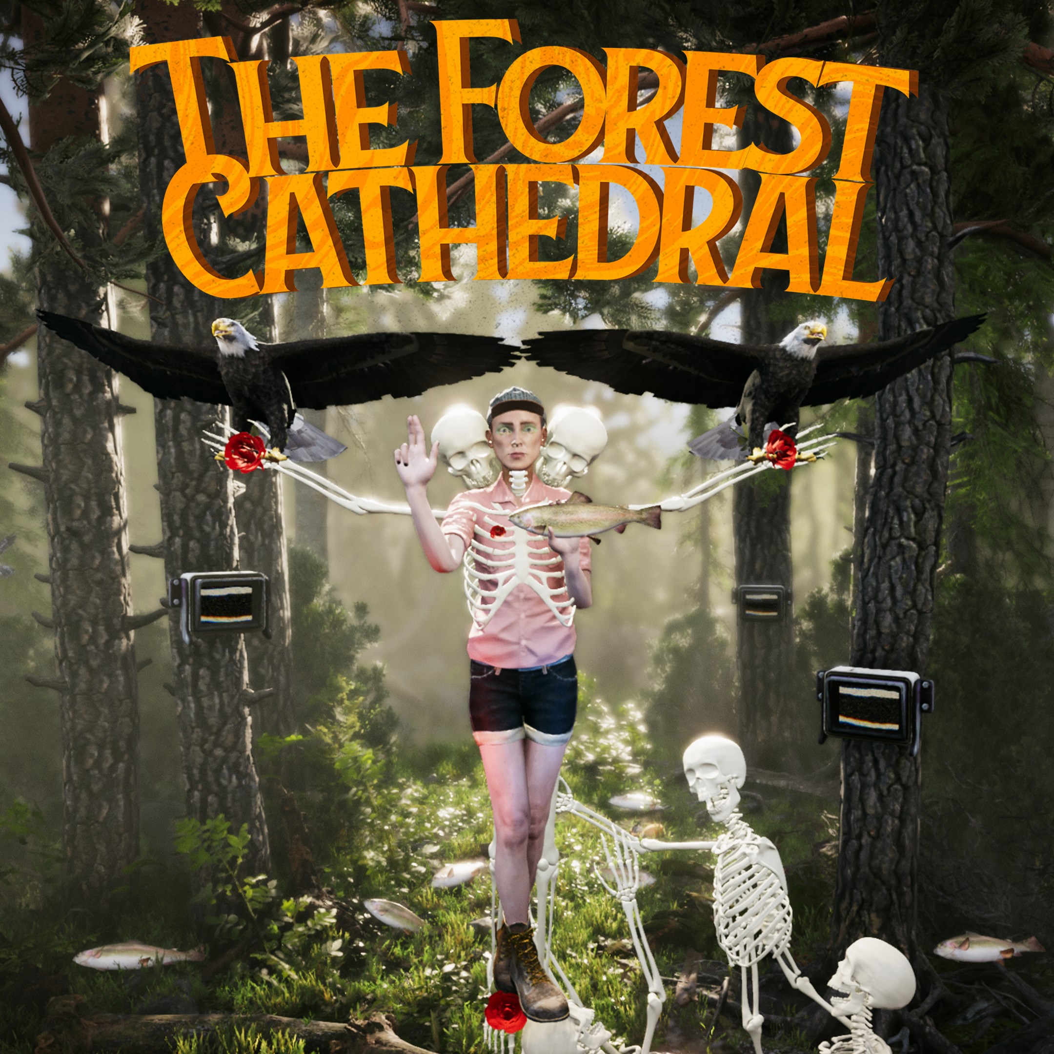 The Forest Cathedral