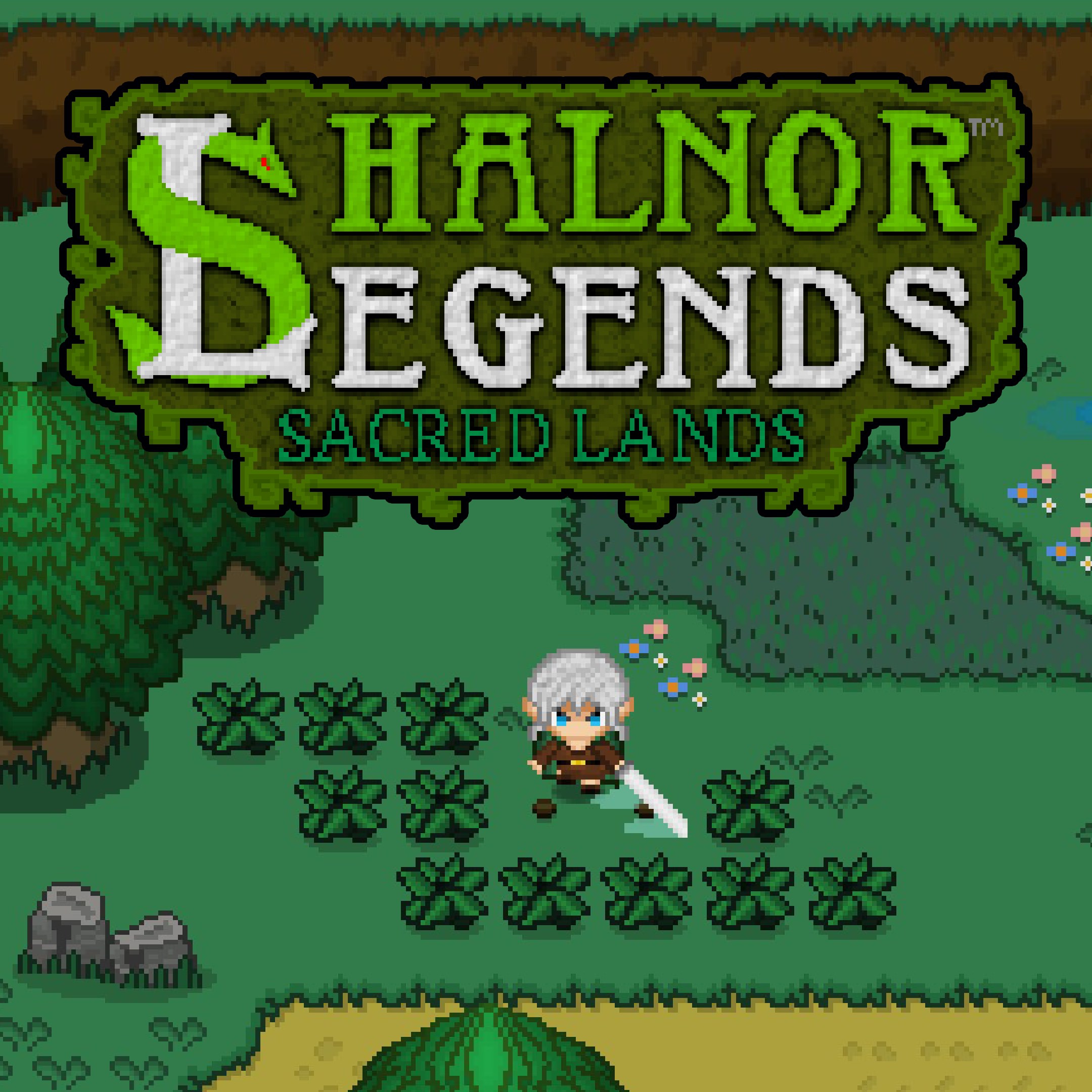 Shalnor Legends: Sacred Lands