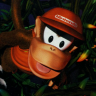 ~Hack~ Donkey Kong Country 2: The Lost Levels