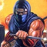 Ninja Gaiden | Shadow Warriors