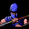 Ninja Gaiden