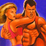 Double Dragon II: The Revenge