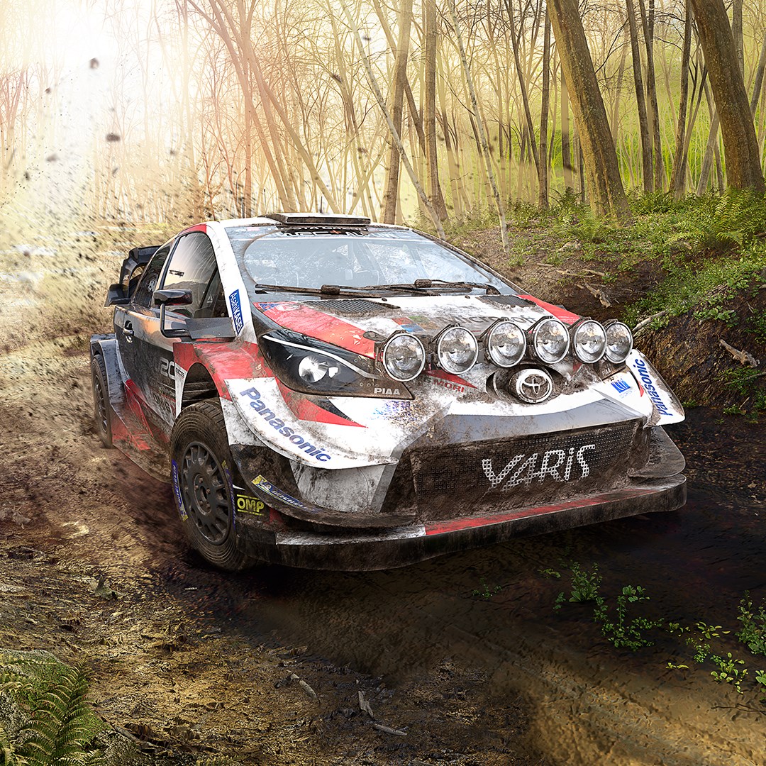 WRC 9 FIA World Rally Championship