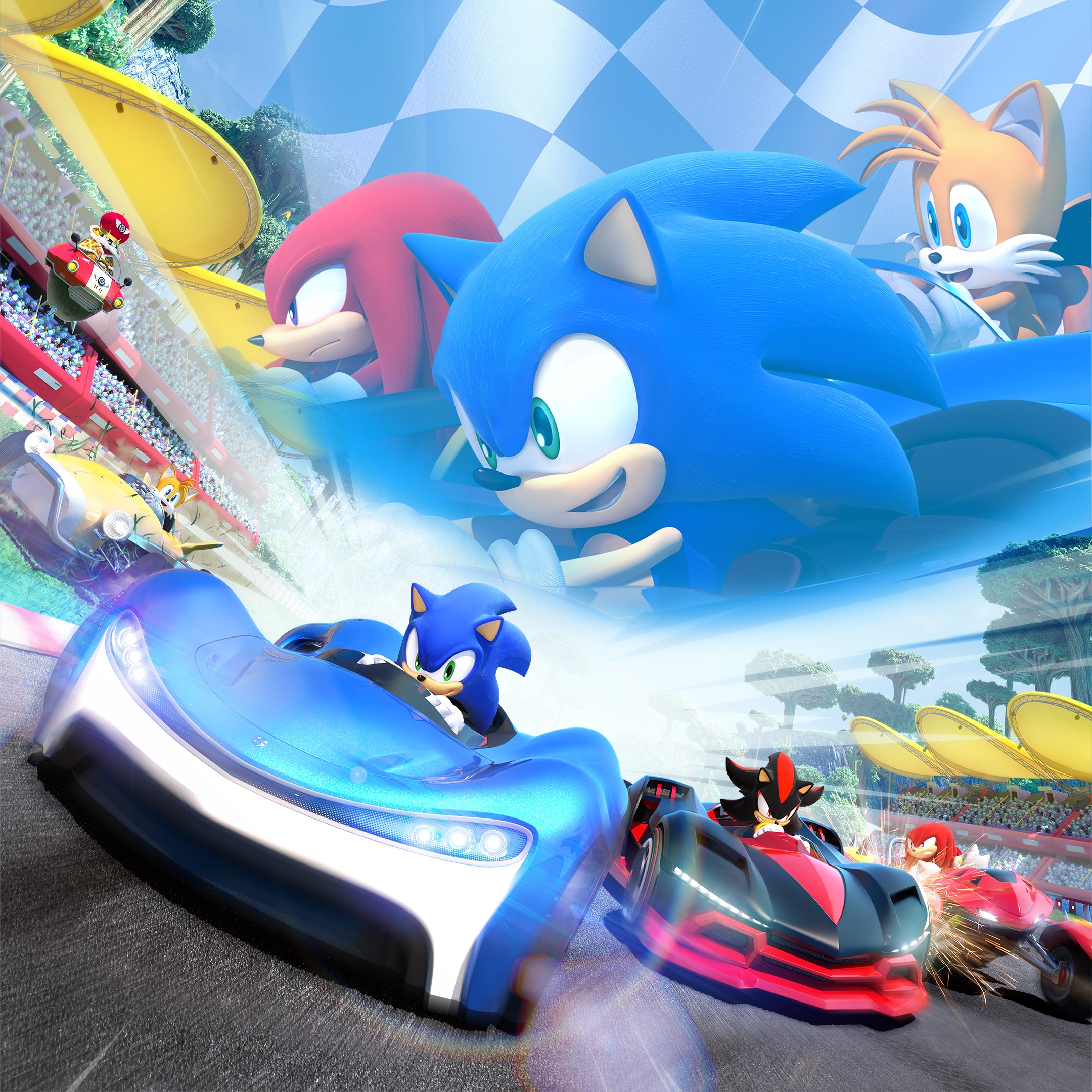 Team Sonic Racing™