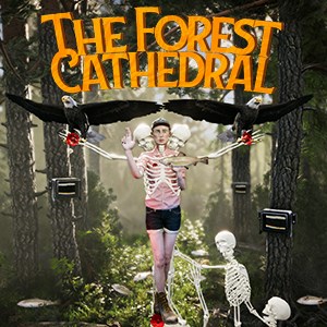 The Forest Cathedral